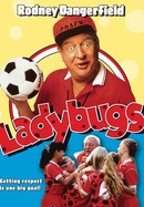 Ladybugs poster image