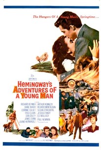 Adventures of a Young Man poster