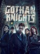 Gotham Knights