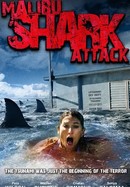 Malibu Shark Attack poster image