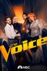 Poster for 