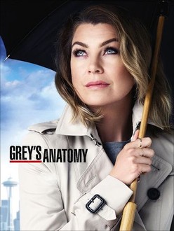Grey's anatomy online greek season top 14