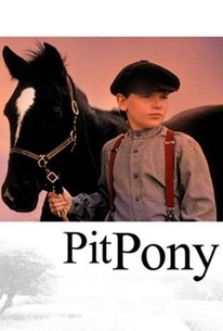 Watch trailer for Pit Pony