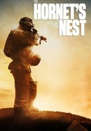 The Hornet's Nest poster image