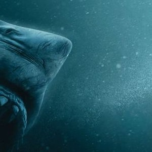47 Meters Down: Uncaged photo 3