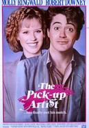 The Pick-Up Artist poster image