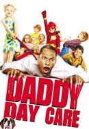 Daddy Day Care poster image