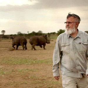 Trophy (2017)