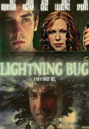 Lightning Bug poster image