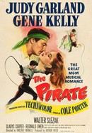 The Pirate poster image