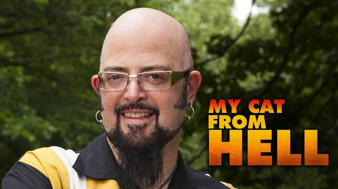 My cat from hell store season 6 episode 7