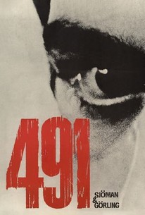 491 | Rotten Tomatoes