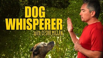 その他 Dog Whisperer With Cesar Millan: Season 5 / [DVD] [Import] Amazon.com: Dog Whisperer with Cesar Millan: Power of the