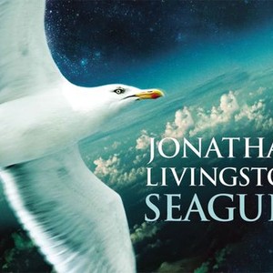 Jonathan Livingston Seagull photo 10