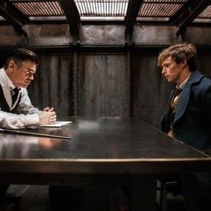 Fantastic Beasts and Where to Find Them photo 8