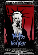 Mondo New York poster image