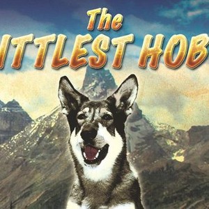 "The Littlest Hobo photo 1"
