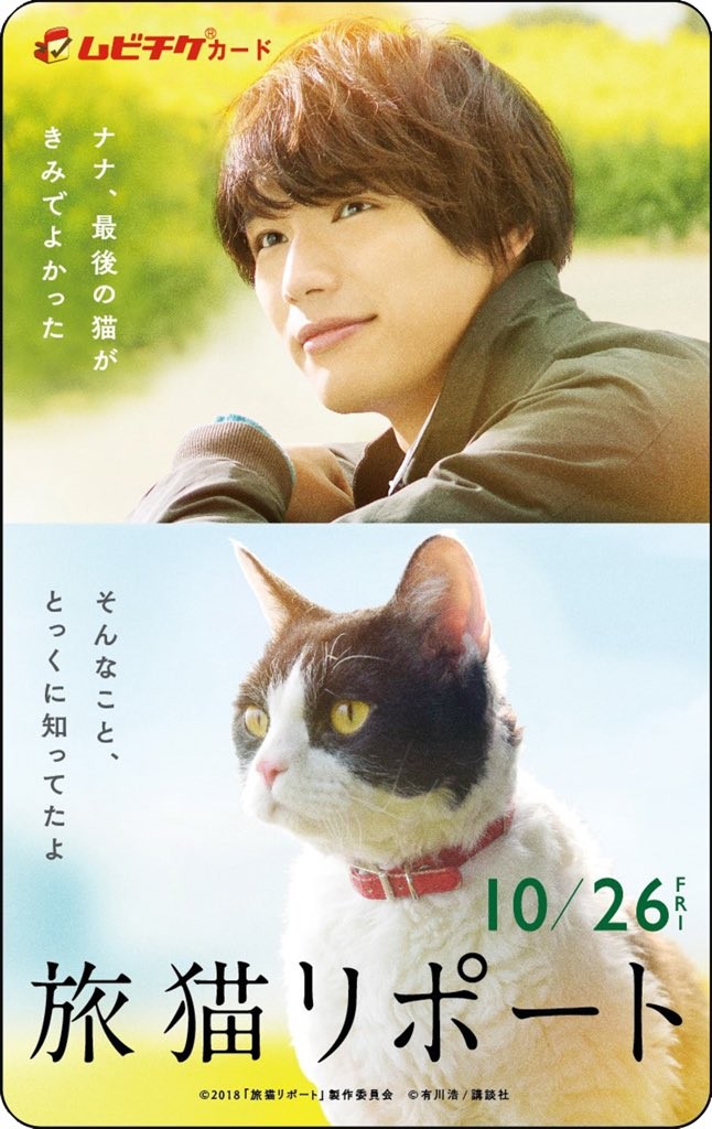 The Travelling Cat Chronicles (Tabineko ripôto) | Rotten Tomatoes