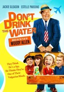 Don't Drink the Water poster image