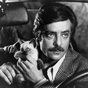 LOVERS AND LIARS, (aka VIAGGIO CON ANITA), Giancarlo Giannini, 1979, (c) Levitt Pickman Films