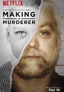 Making a Murderer poster image