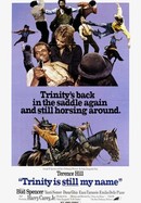 Trinity Is Still My Name poster image