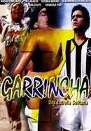 Garrincha: Lonely Star poster image