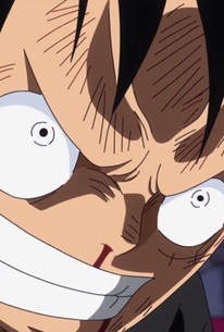 One Piece: Season 4, Episode 23 - Rotten Tomatoes