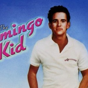 The Flamingo Kid photo 4