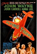 Flying Tigers poster image