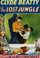 The Lost Jungle poster image