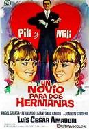 Un novio para dos hermanas poster image