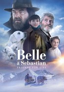 Belle and Sebastian, Friends for Life poster image