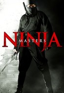 Ninja Masters poster image