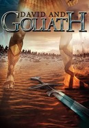 David and Goliath poster image