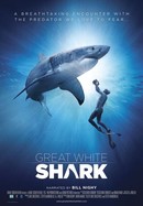 Great White Shark poster image