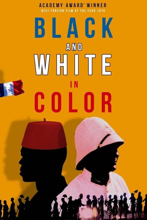 Black and White in Color poster