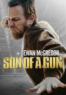 Son of a Gun poster image