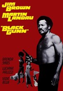 Black Gunn poster image