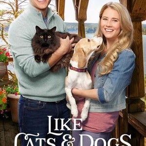 Like Cats and Dogs (2017) photo 13