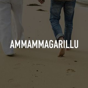 Ammammagarillu photo 3