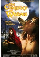 The Company of Wolves poster image