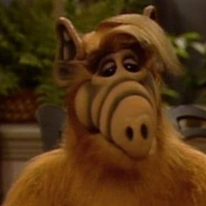 ALF: Season 4, Episode 21 - Rotten Tomatoes