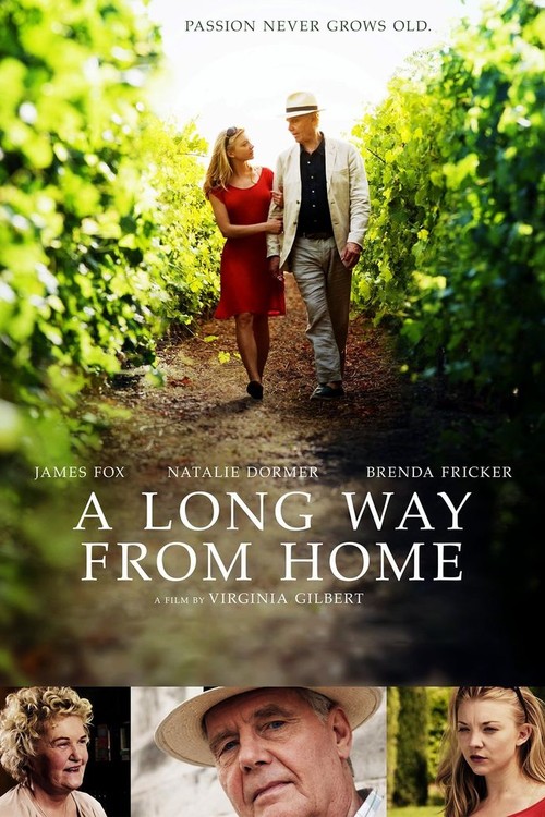 A Long Way From Home poster