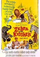 Zebra in the Kitchen poster image