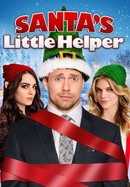 Santa's Little Helper poster image