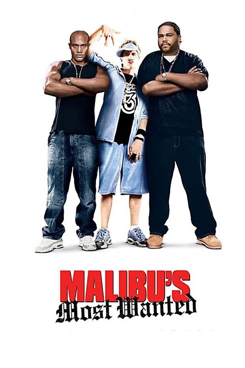 Malibu's Most Wanted poster