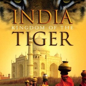 India: Kingdom of the Tiger (2002) photo 2