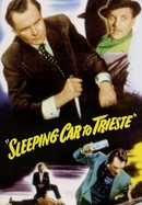 Sleeping Car to Trieste poster image