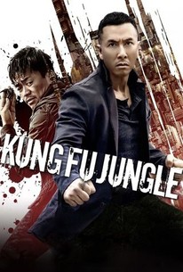 Poster for Kung Fu Jungle